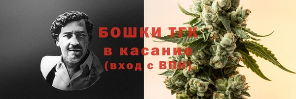 сатива Михайлов