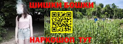 бошки Гай