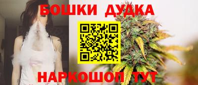 spice Гатчина