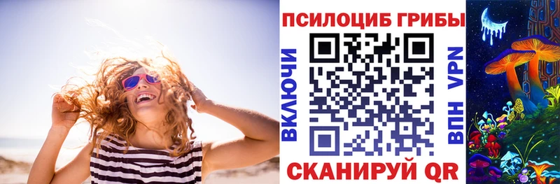 Псилоцибиновые грибы GOLDEN TEACHER  Чита 