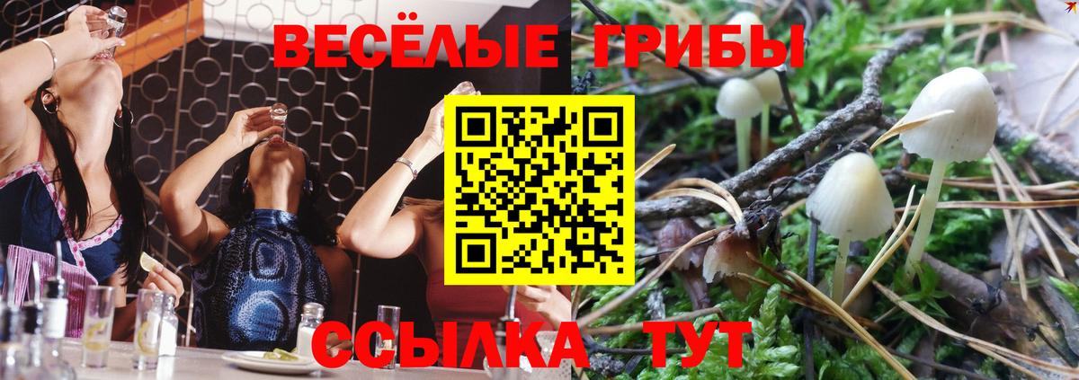 Псилоцибиновые грибы MAGIC MUSHROOMS  Вход с VPN  Чита 
