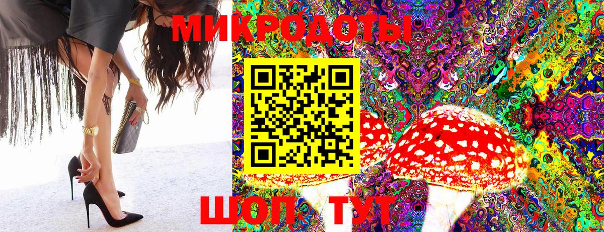 Псилоцибиновые грибы GOLDEN TEACHER Чита